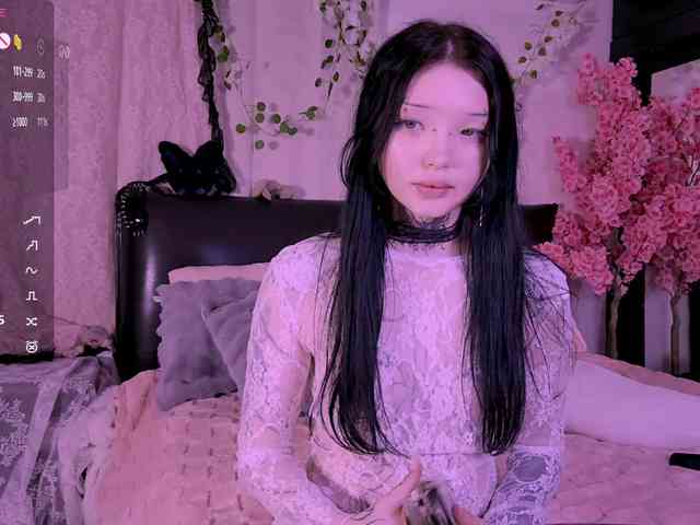 Leinbone webcam