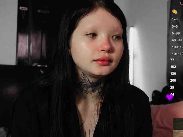 Leinbone webcam