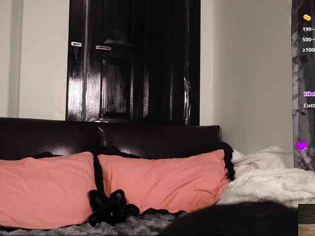 Leinbone webcam