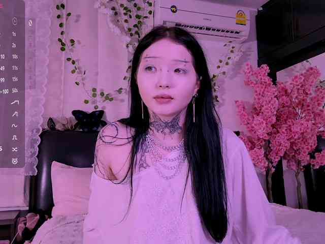 Leinbone webcam