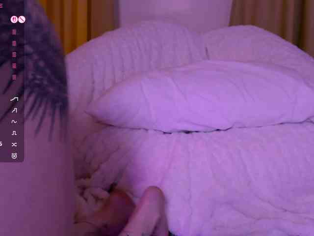 Leinbone webcam