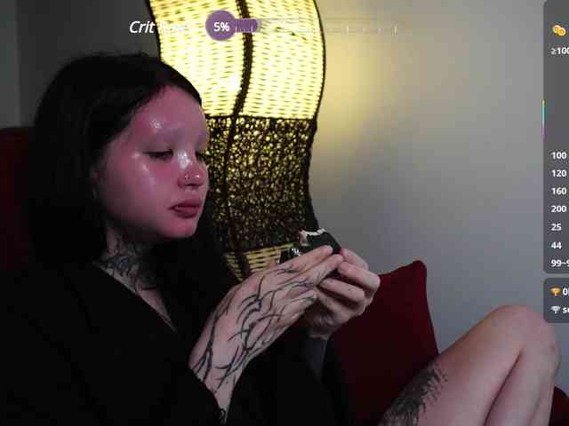 Leinbone webcam