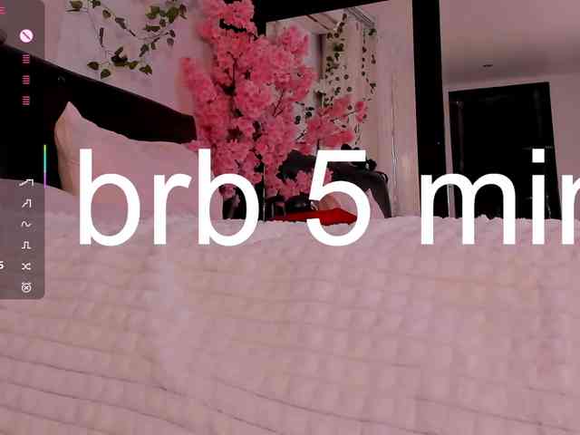 Leinbone webcam