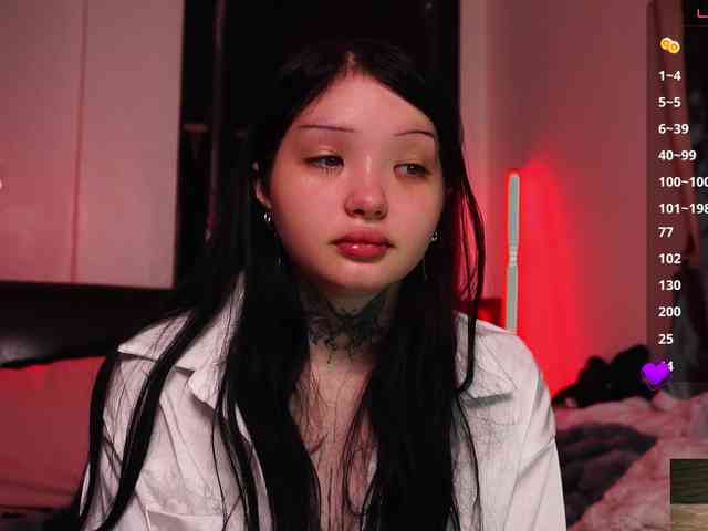 Leinbone webcam