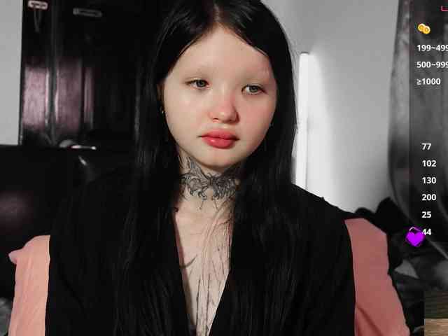Leinbone webcam