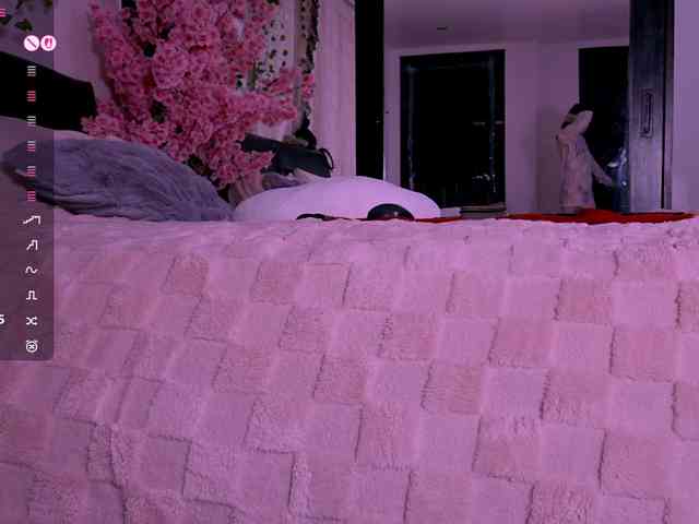 Leinbone webcam