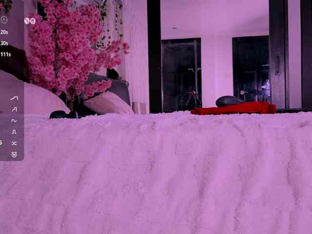Leinbone webcam