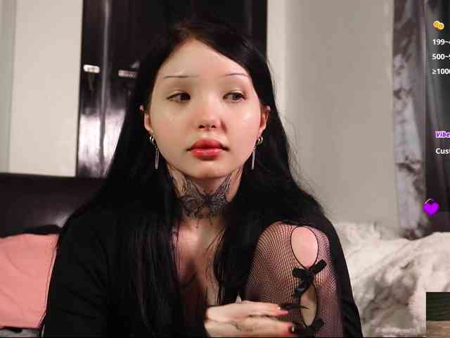 Leinbone webcam
