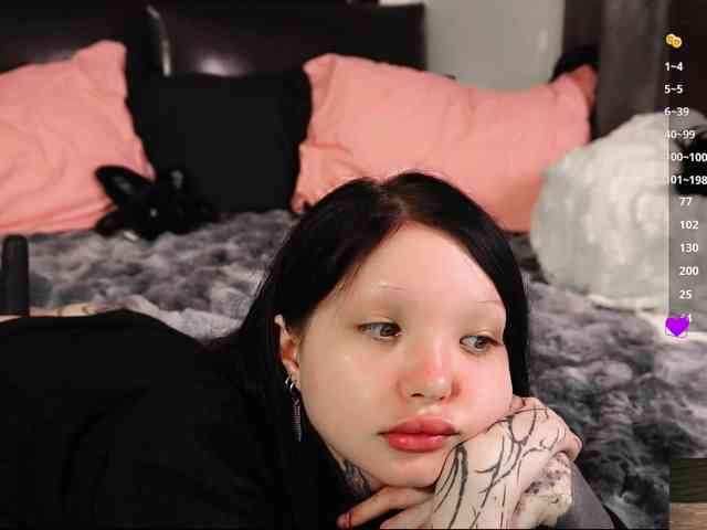 Leinbone webcam