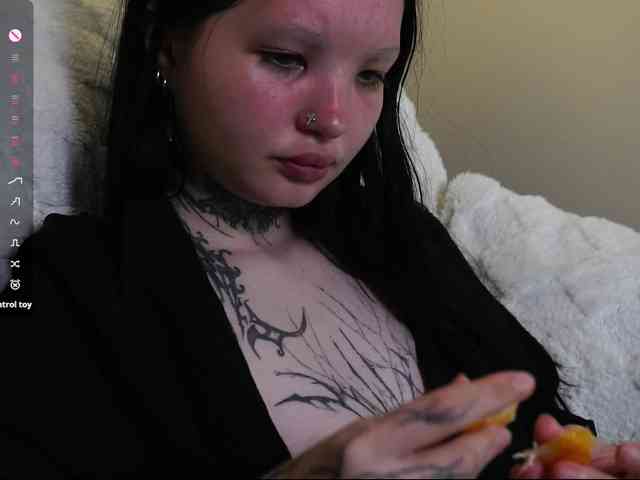 Leinbone webcam