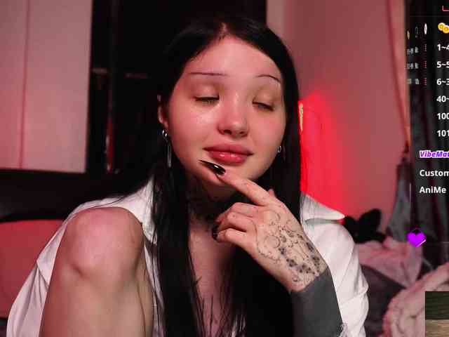 Leinbone webcam