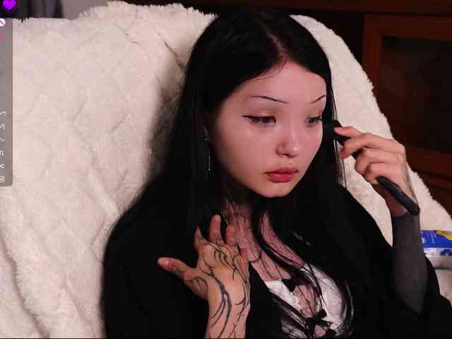 Leinbone webcam