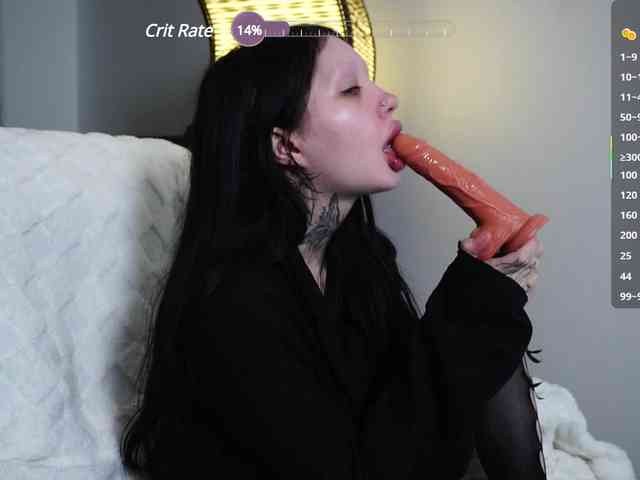 Leinbone webcam