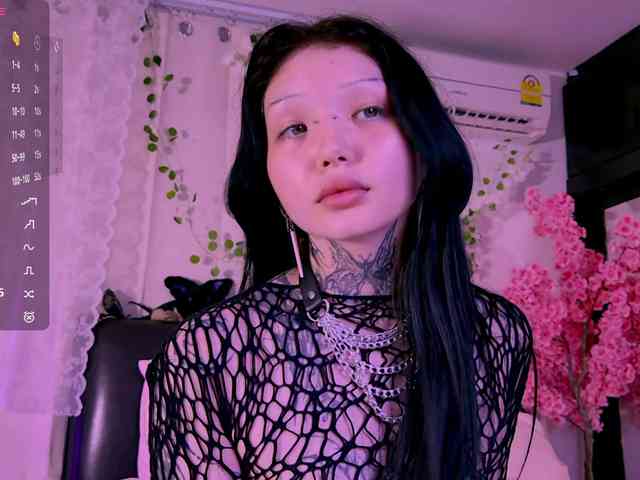 Leinbone webcam