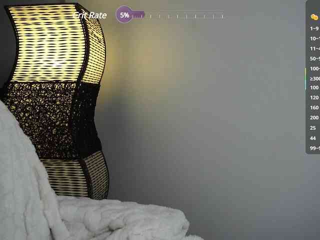 Leinbone webcam