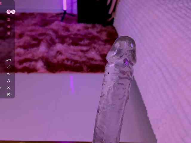Leinbone webcam