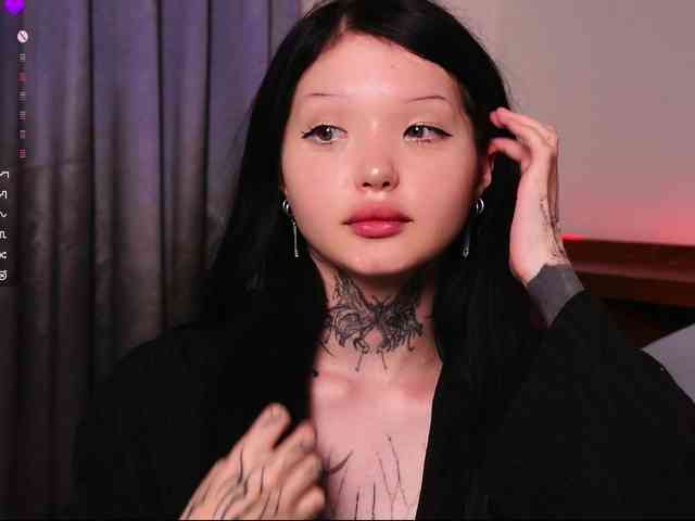 Leinbone webcam