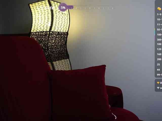Leinbone webcam