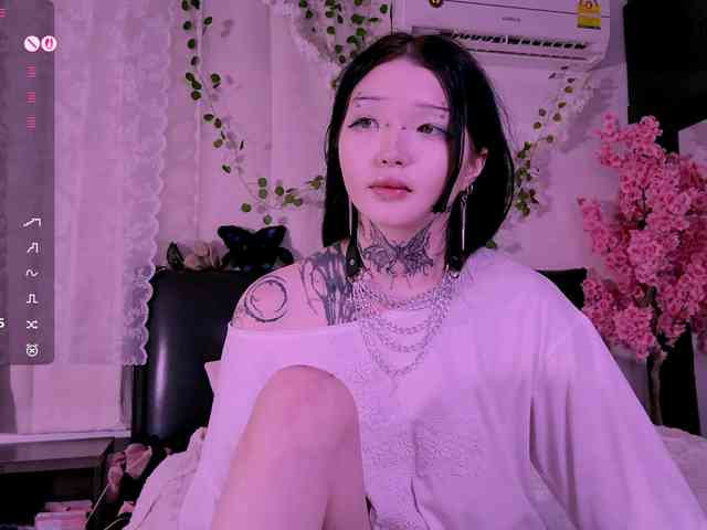 Leinbone webcam