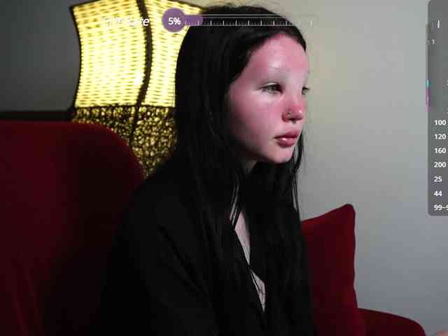 Leinbone webcam