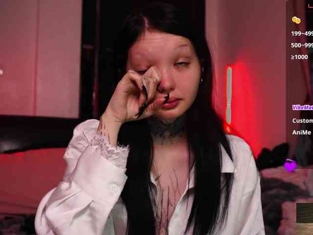 Leinbone webcam