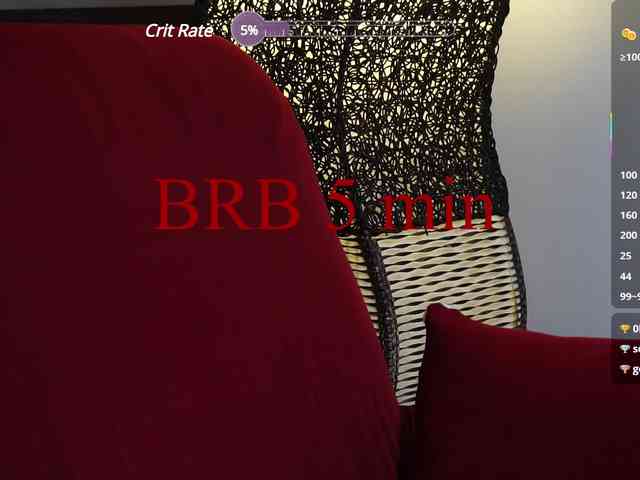 Leinbone webcam