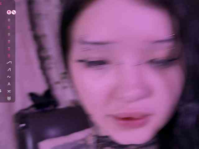 Leinbone webcam