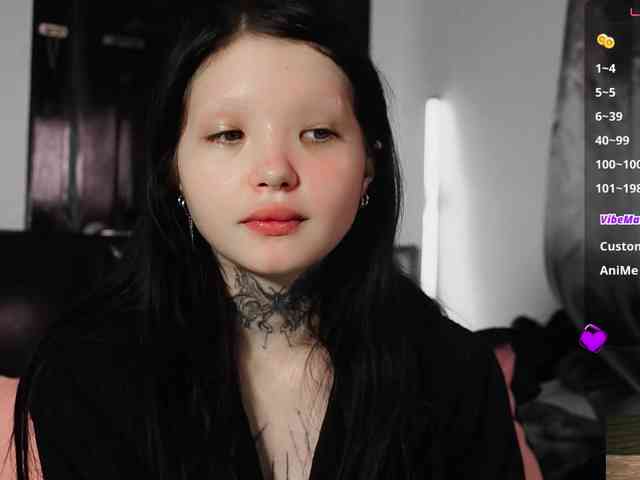 Leinbone webcam