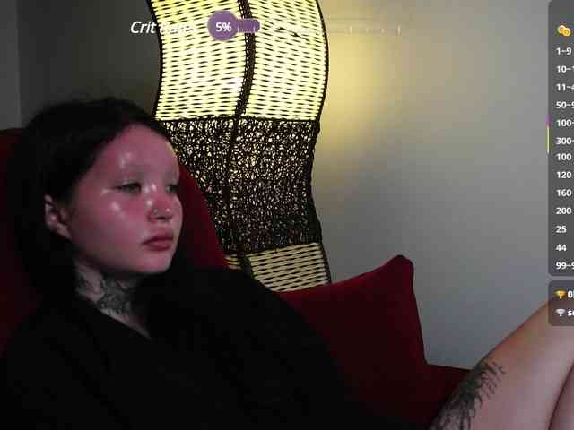 Leinbone webcam