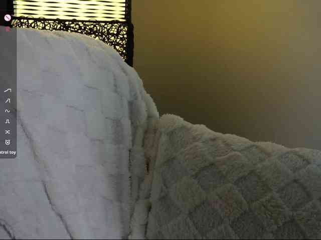 Leinbone webcam