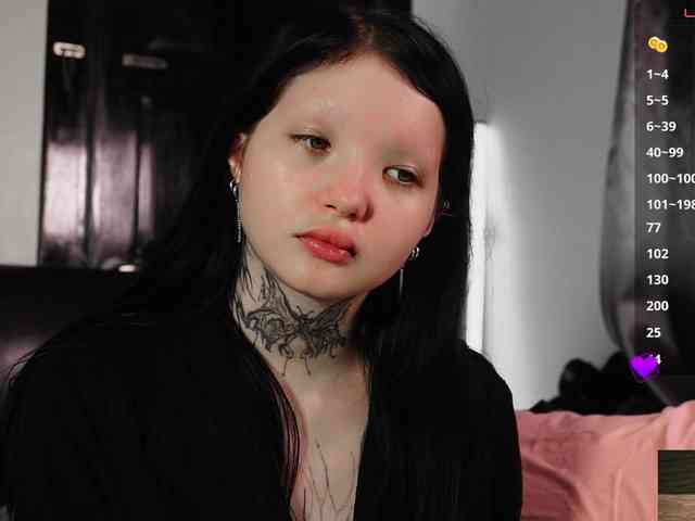Leinbone webcam
