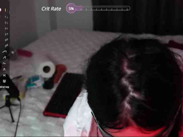 Leinbone webcam