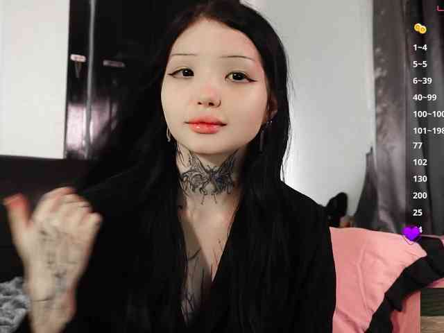 Leinbone webcam