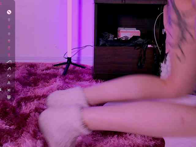Leinbone webcam
