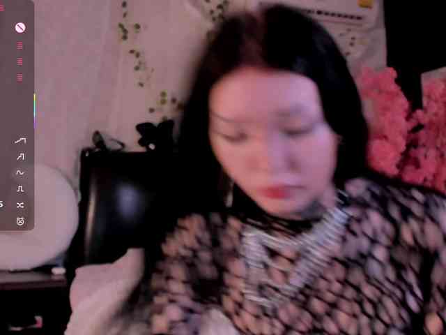 Leinbone webcam