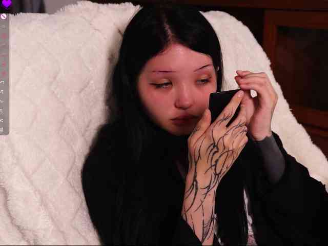 Leinbone webcam