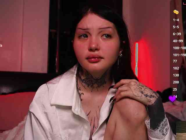 Leinbone webcam
