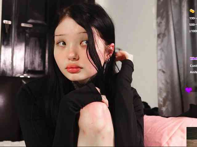 Leinbone webcam