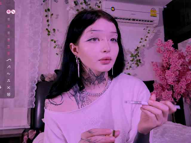 Leinbone webcam