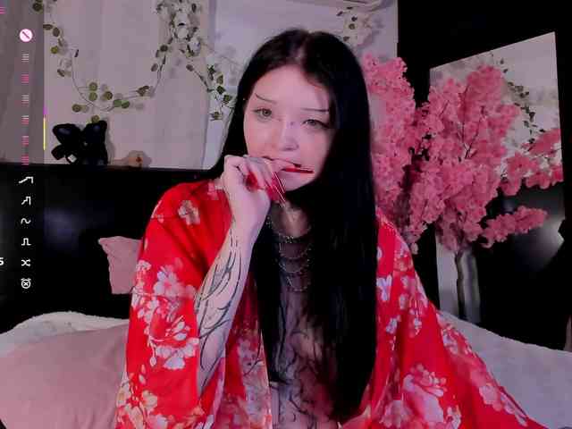 Leinbone webcam