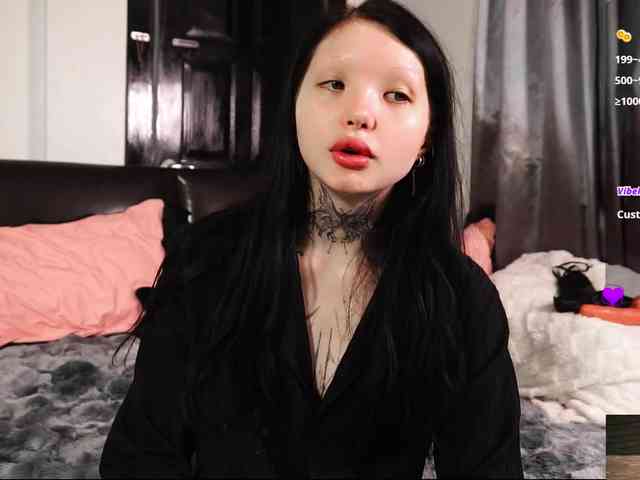 Leinbone webcam