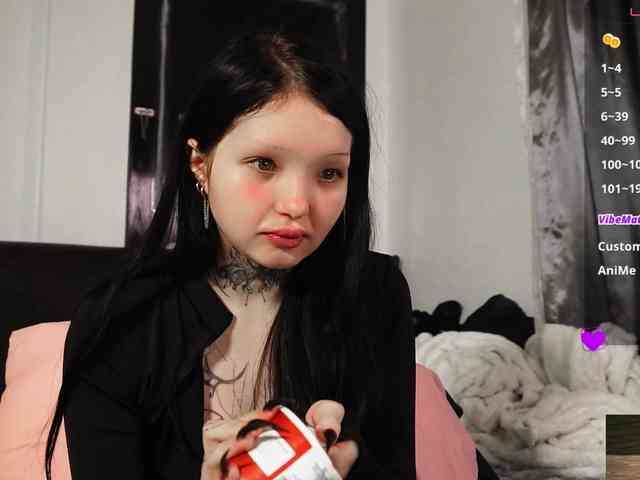 Leinbone webcam