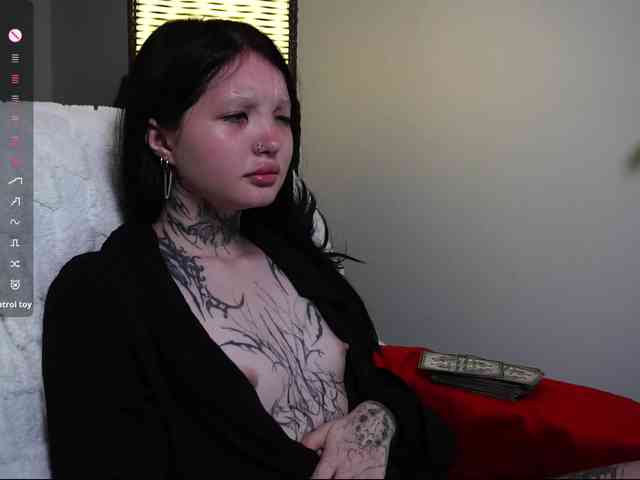 Leinbone webcam