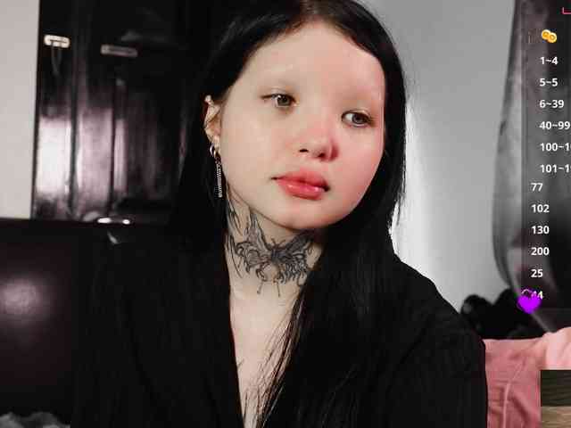 Leinbone webcam