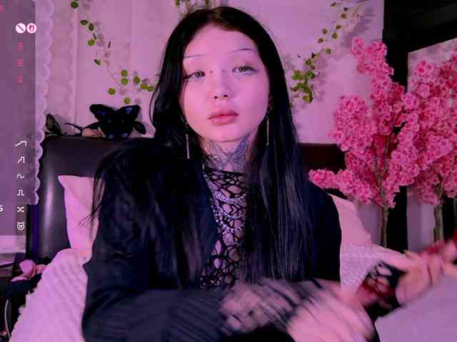 Leinbone webcam