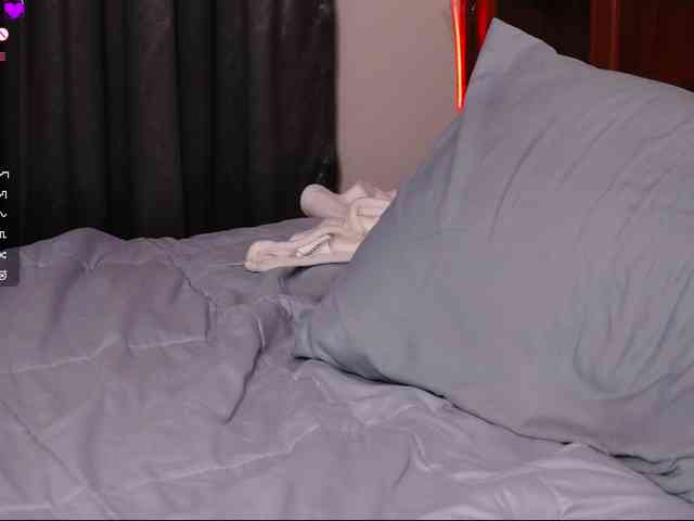 Leinbone webcam