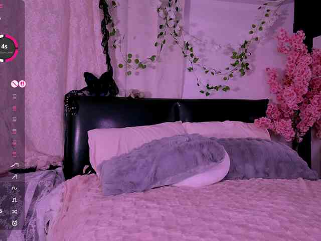 Leinbone webcam