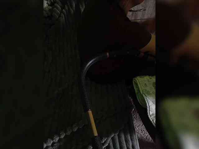 Vita240 webcam