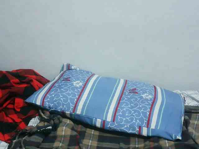 Reen3 webcam