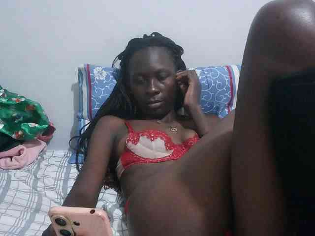 Reen3 webcam